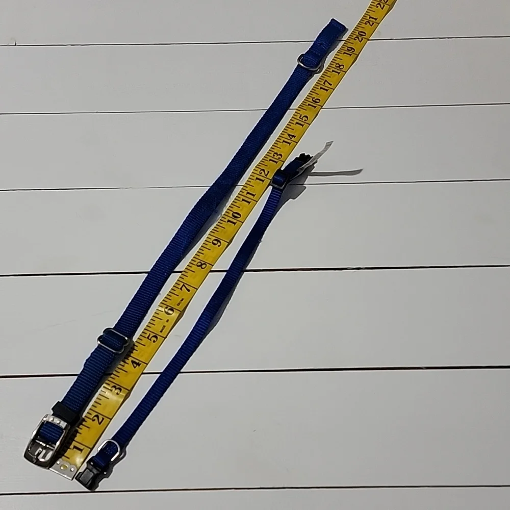 Two blue dog collars